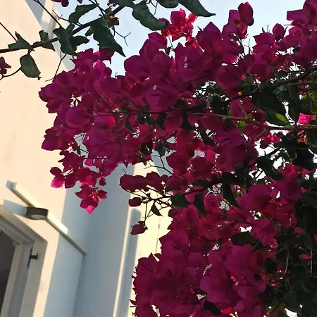 Isalos Paros 아파트