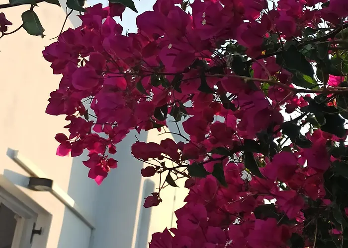 Isalos Апартаменты